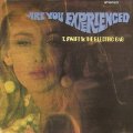 T. SWIFT & THE ELECTRIC BAG - Are You Experienced - CD 1968 Gear Fab Psychedelic
