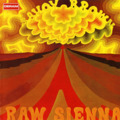 SAVOY BROWN - Raw Sienna - CD 197 DERAM Bluesrock