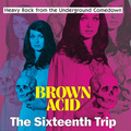 VARIOUS - Brown Acid  The 16th Trip - LP black RIDING EASY Psychedelic