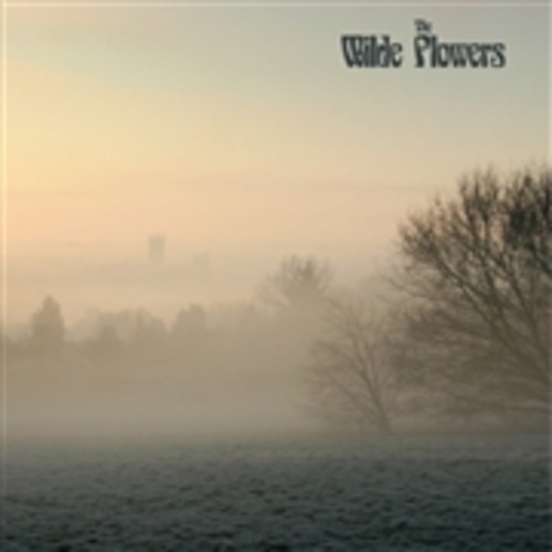 THE WILDE FLOWERS - The Wilde Flowers - LP Tiger Bay Canterbury Progressiv