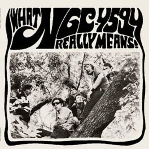 NGC4594 - What Ngc4594 Really Means -  LP  7 inch black Guerssen Psychedelic