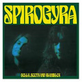 SPIROGYRA - Bells Boots And Shambles -  LP 1973 Endless Happiness Progressiv Folk