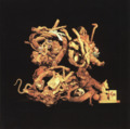 VOICE OF THE SEVEN WOODS - Voice Of The Seven Woods - CD Twisted Nerve Progressiv Folk Acid Folk