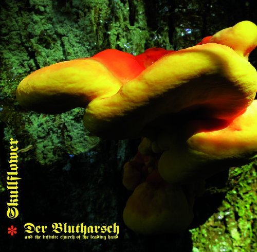 DER BLUTHARSCH & TICOTLH  SKULLFLOWER - Angel Of Darkness - CD Dead Seed Psychedelic Progressiv
