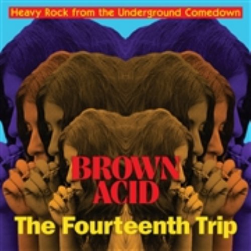 VARIOUS - Brown Acid  The 14th Trip - CD Digipack RIDING EASY Psychedelic
